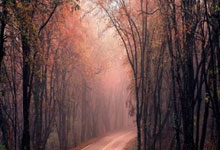 开云体育平台APP-「锋刃与天平：姆巴佩绝杀背后的绿茵罗生门」