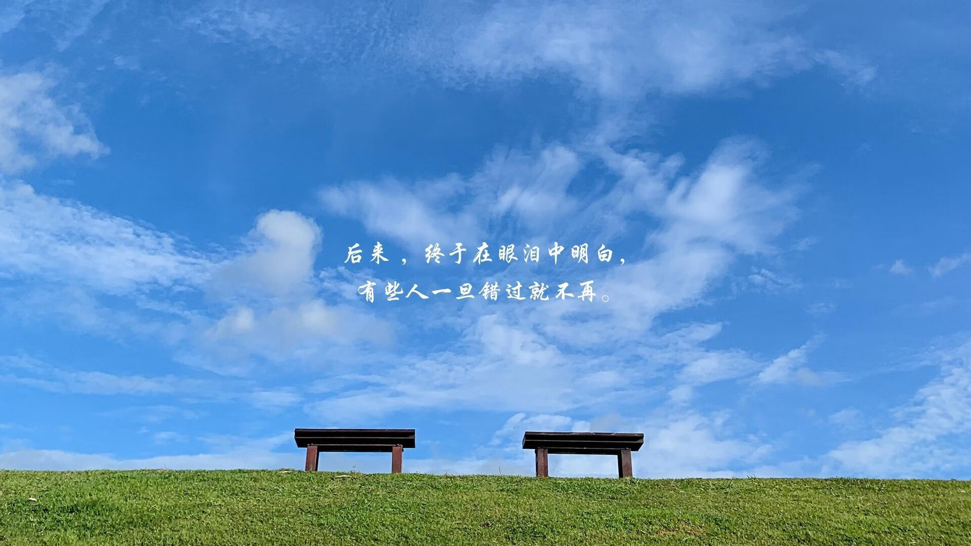 铁幕之下，当国王的米切尔将浙江队装进防守的琥珀