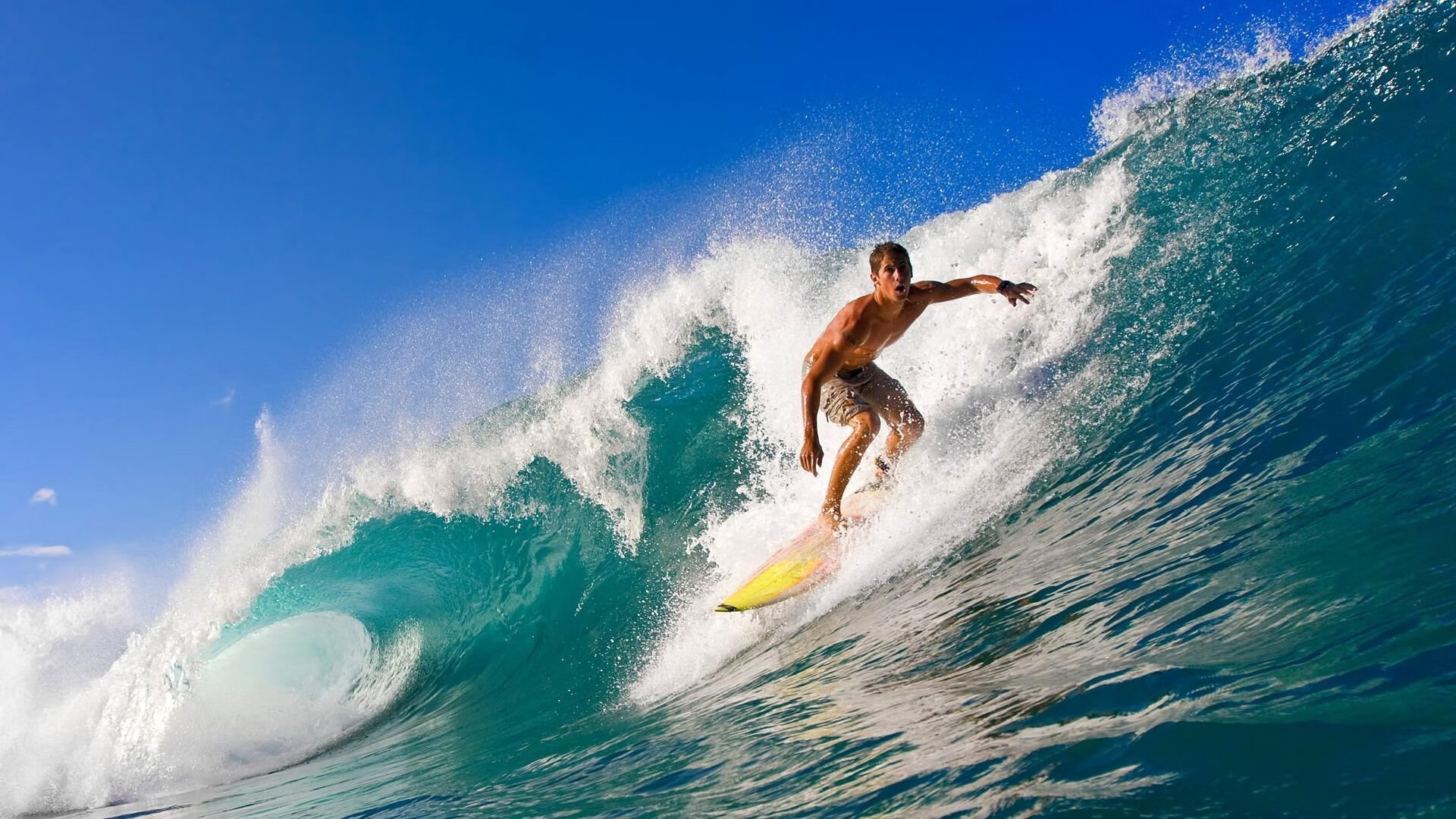 东决关键战之夜,文班亚马存在感拉满